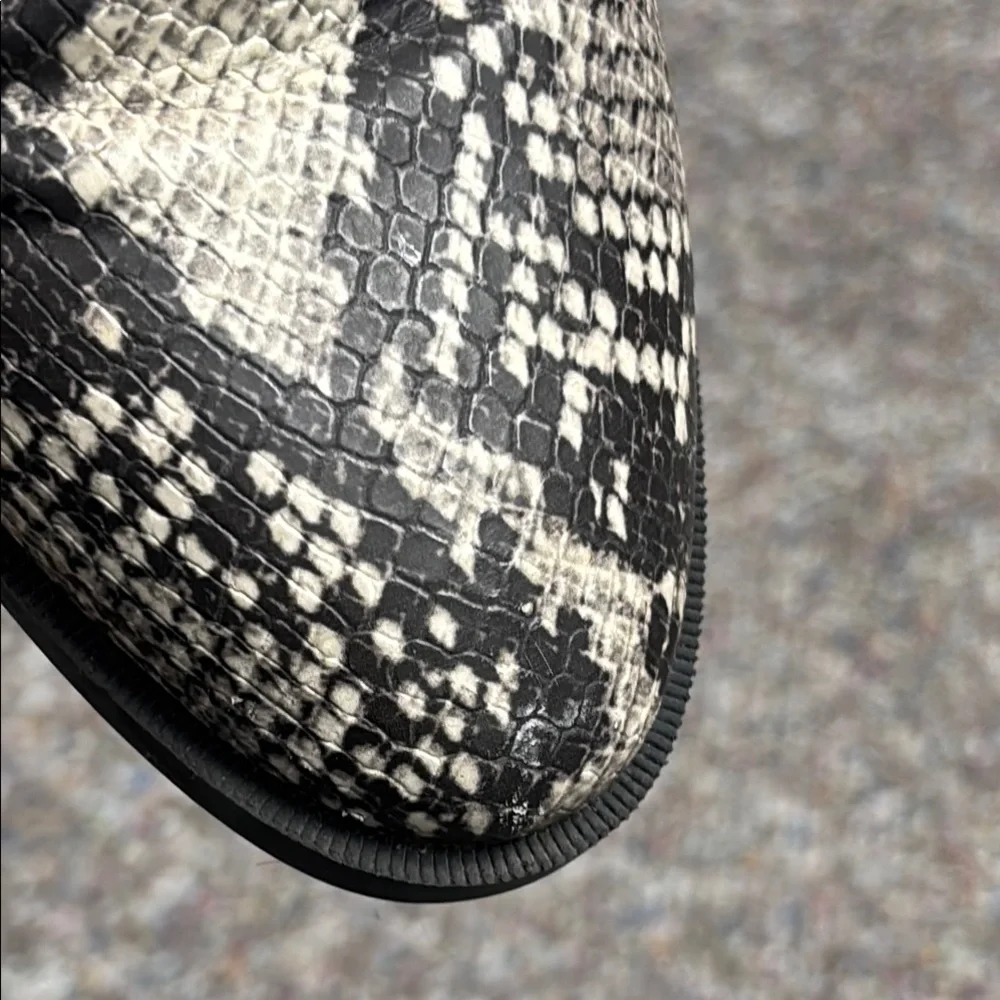 Steve Madden Devan Snakeskin Ankle Boots - Black and Grey - Picture 8 of 10
